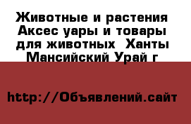 Животные и растения Аксесcуары и товары для животных. Ханты-Мансийский,Урай г.